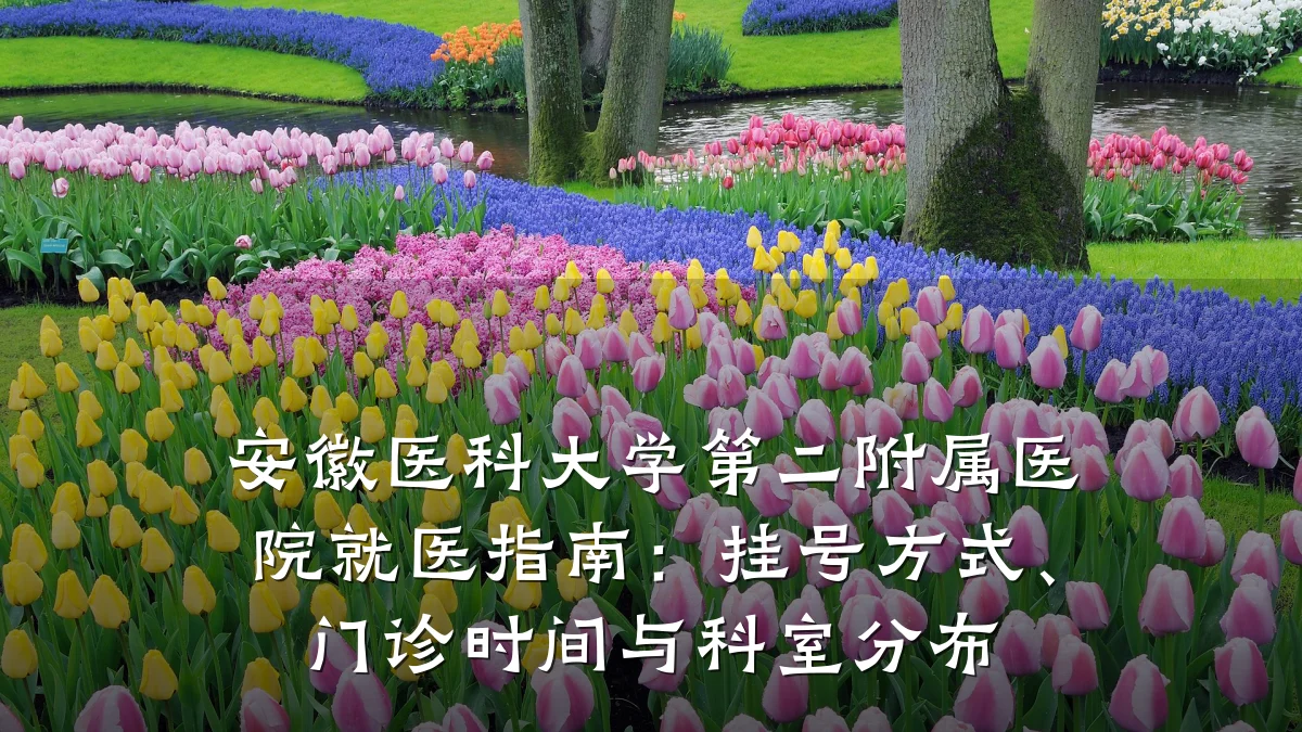 安徽医科大学第二附属医院就医指南：挂号方式、门诊时间与科室分布