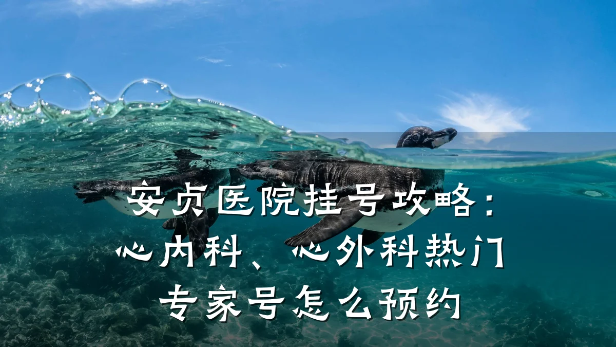 安贞医院挂号攻略:心内科、心外科热门专家号怎么预约