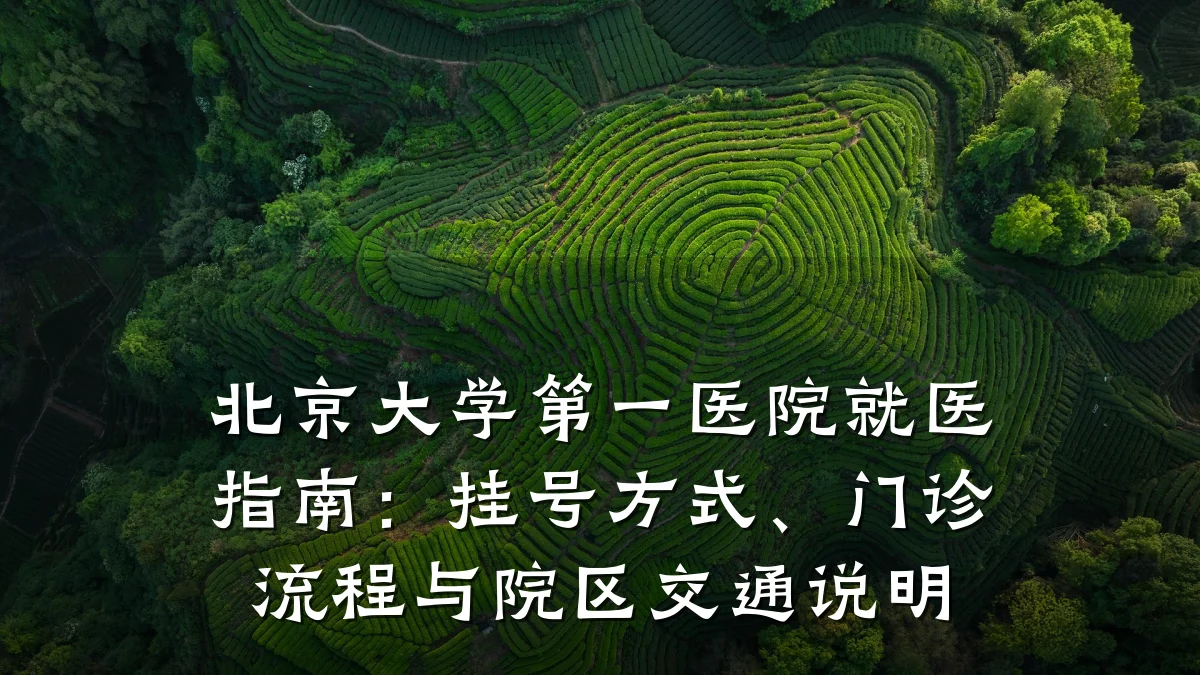 北京大学第一医院就医指南：挂号方式、门诊流程与院区交通说明