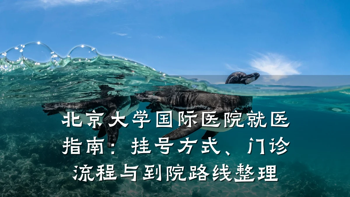 北京大学国际医院就医指南:挂号方式、门诊流程与到院路线整理