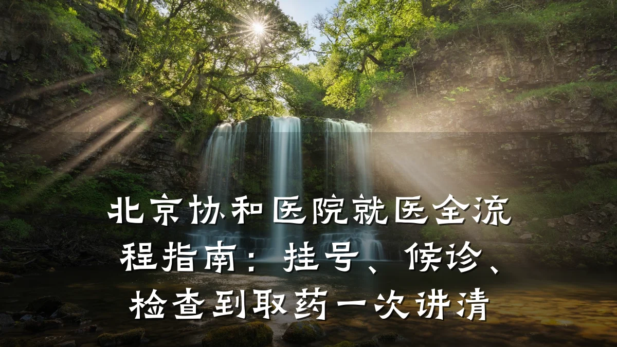 北京协和医院就医全流程指南:挂号、候诊、检查到取药一次讲清