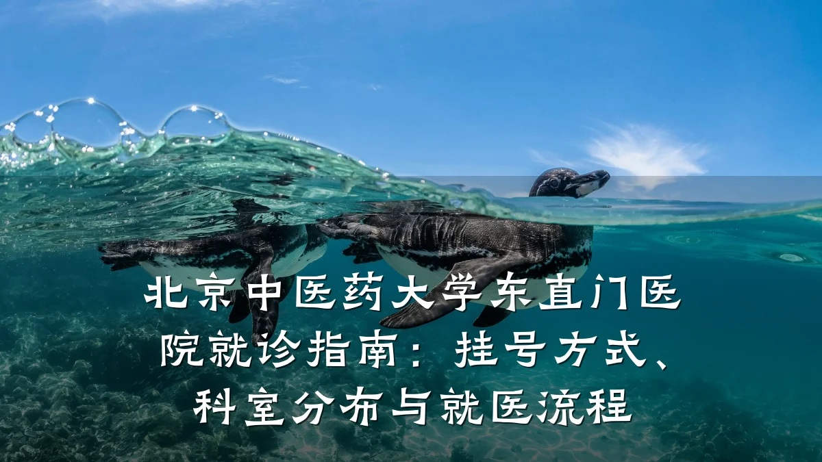 北京中医药大学东直门医院就诊指南：挂号方式、科室分布与就医流程