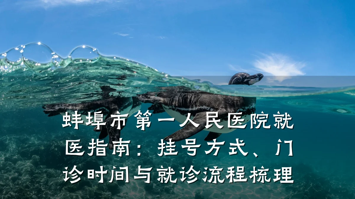 蚌埠市第一人民医院就医指南:挂号方式、门诊时间与就诊流程梳理