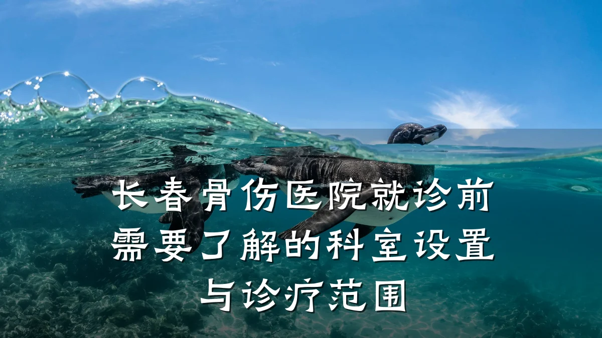 长春骨伤医院就诊前需要了解的科室设置与诊疗范围
