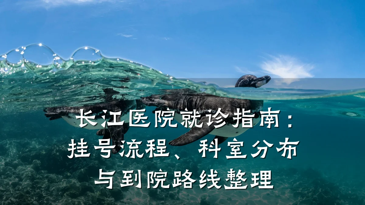 长江医院就诊指南：挂号流程、科室分布与到院路线整理