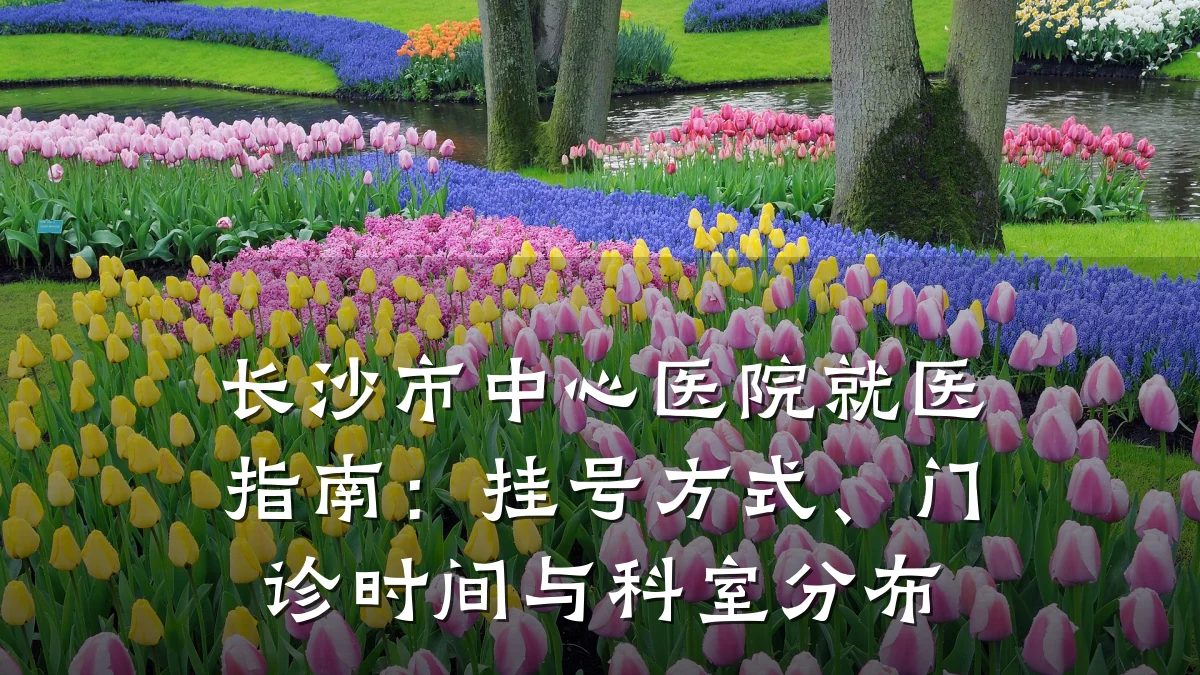 长沙市中心医院就医指南:挂号方式、门诊时间与科室分布