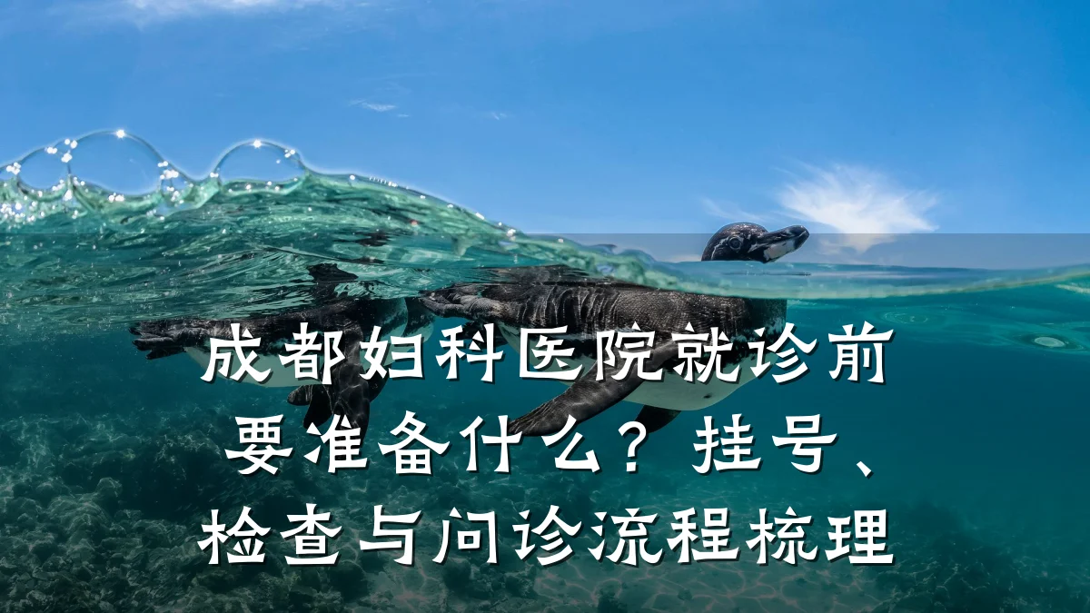 成都妇科医院就诊前要准备什么?挂号、检查与问诊流程梳理