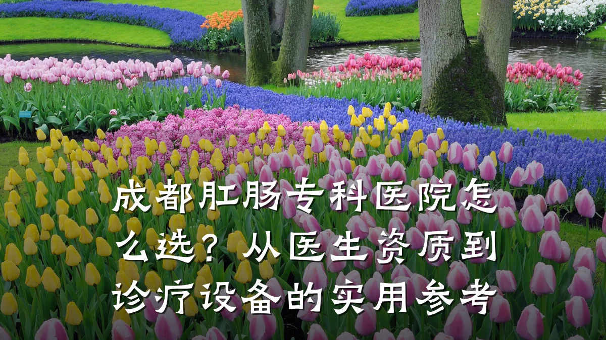 成都肛肠专科医院怎么选？从医生资质到诊疗设备的实用参考