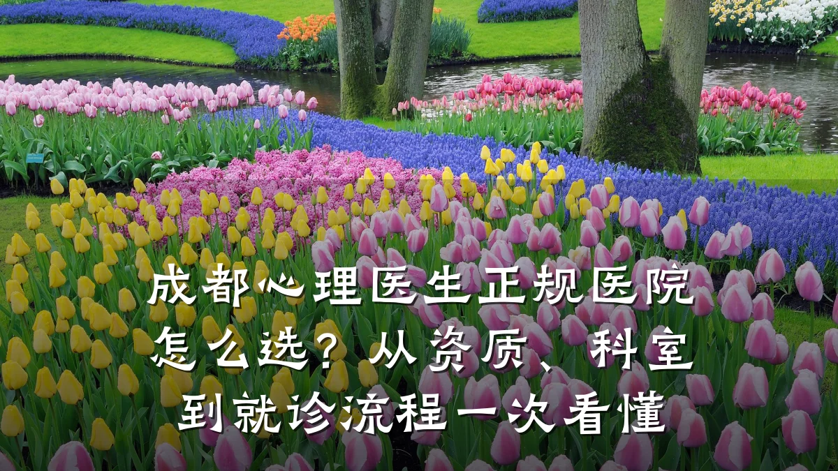 成都心理医生正规医院怎么选？从资质、科室到就诊流程一次看懂