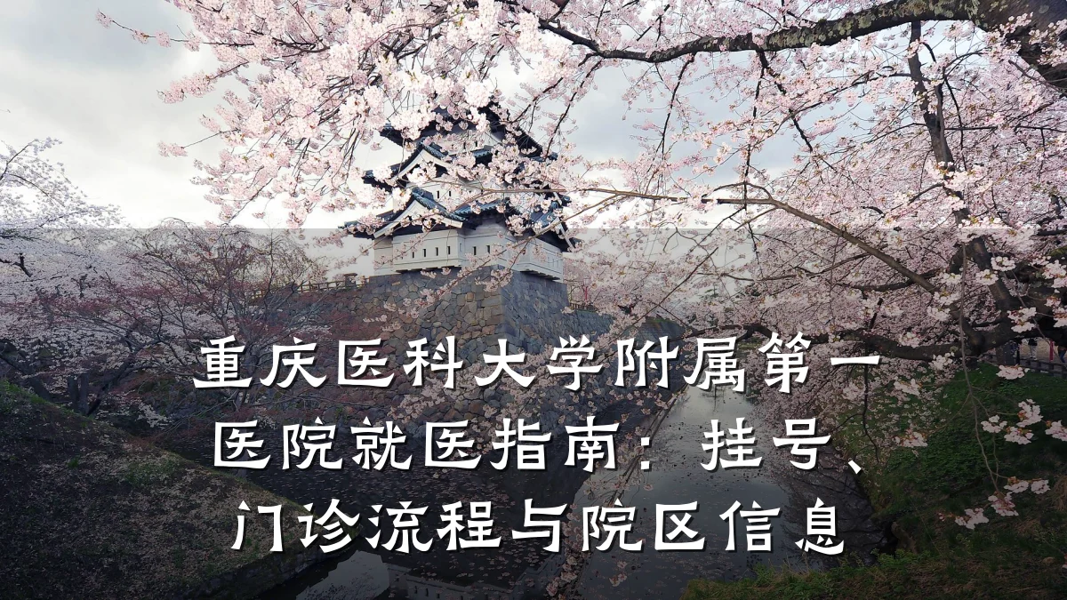 重庆医科大学附属第一医院就医指南：挂号、门诊流程与院区信息