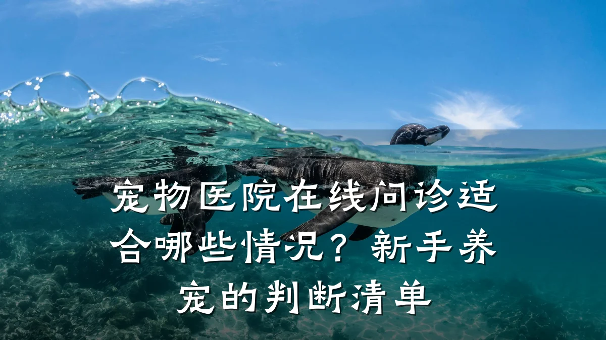 宠物医院在线问诊适合哪些情况?新手养宠的判断清单