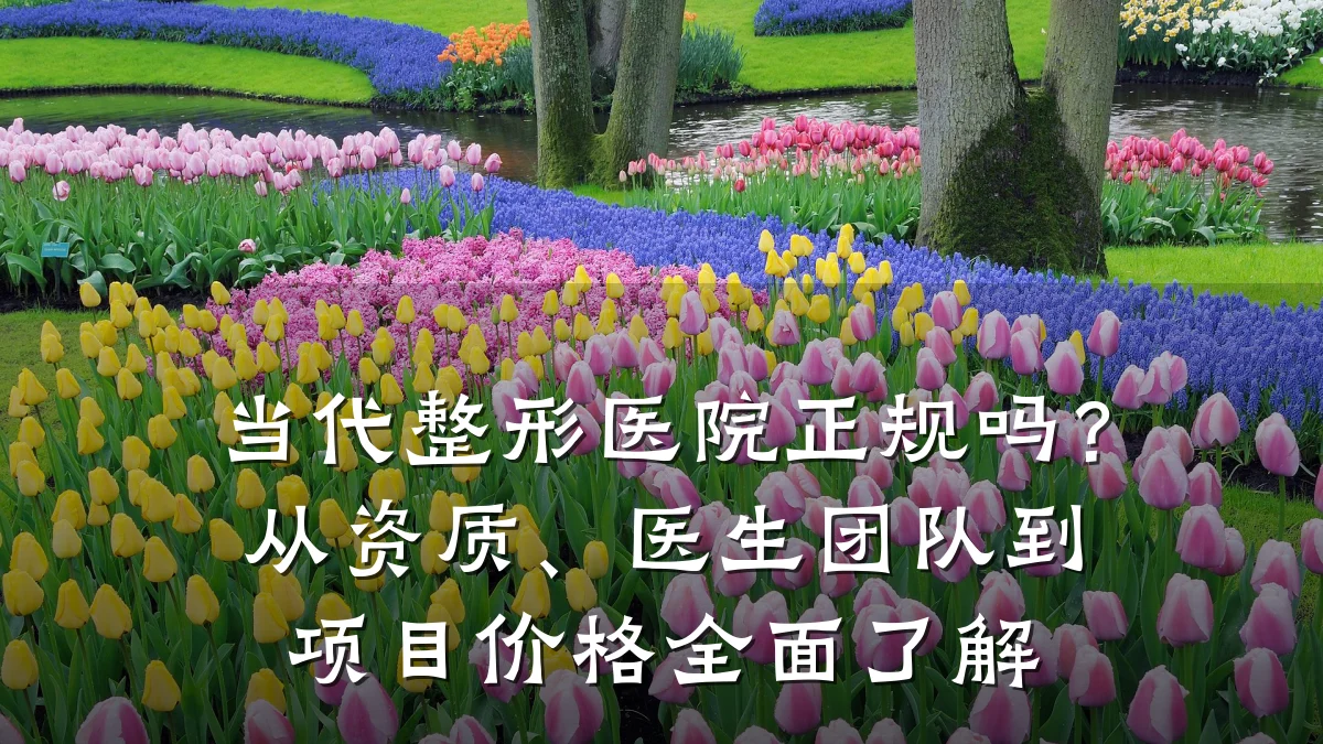 当代整形医院正规吗?从资质、医生团队到项目价格全面了解