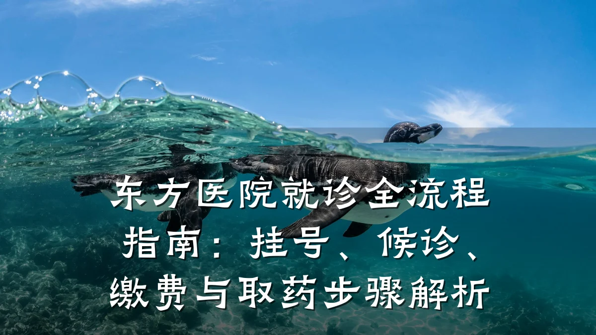 东方医院就诊全流程指南:挂号、候诊、缴费与取药步骤解析