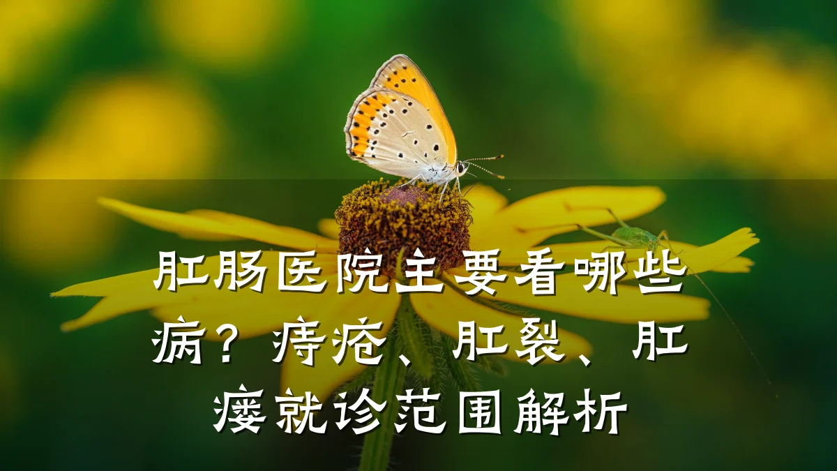 肛肠医院主要看哪些病？痔疮、肛裂、肛瘘就诊范围解析