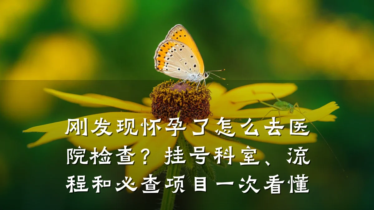 刚发现怀孕了怎么去医院检查？挂号科室、流程和必查项目一次看懂