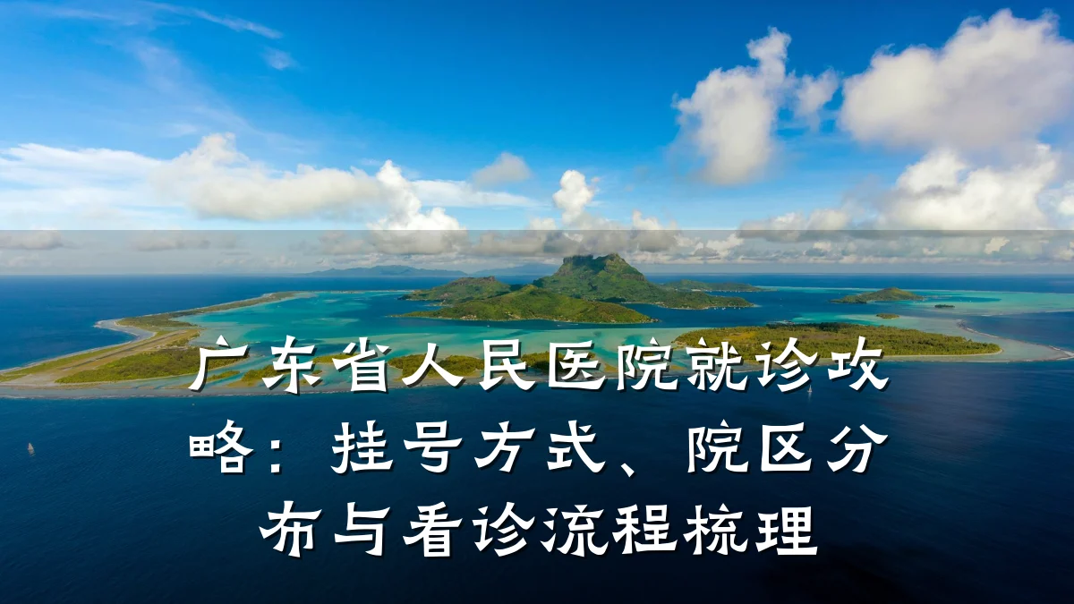 广东省人民医院就诊攻略:挂号方式、院区分布与看诊流程梳理