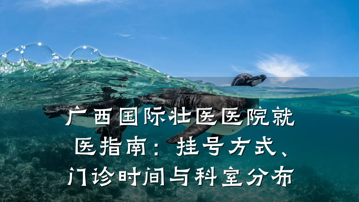 广西国际壮医医院就医指南:挂号方式、门诊时间与科室分布
