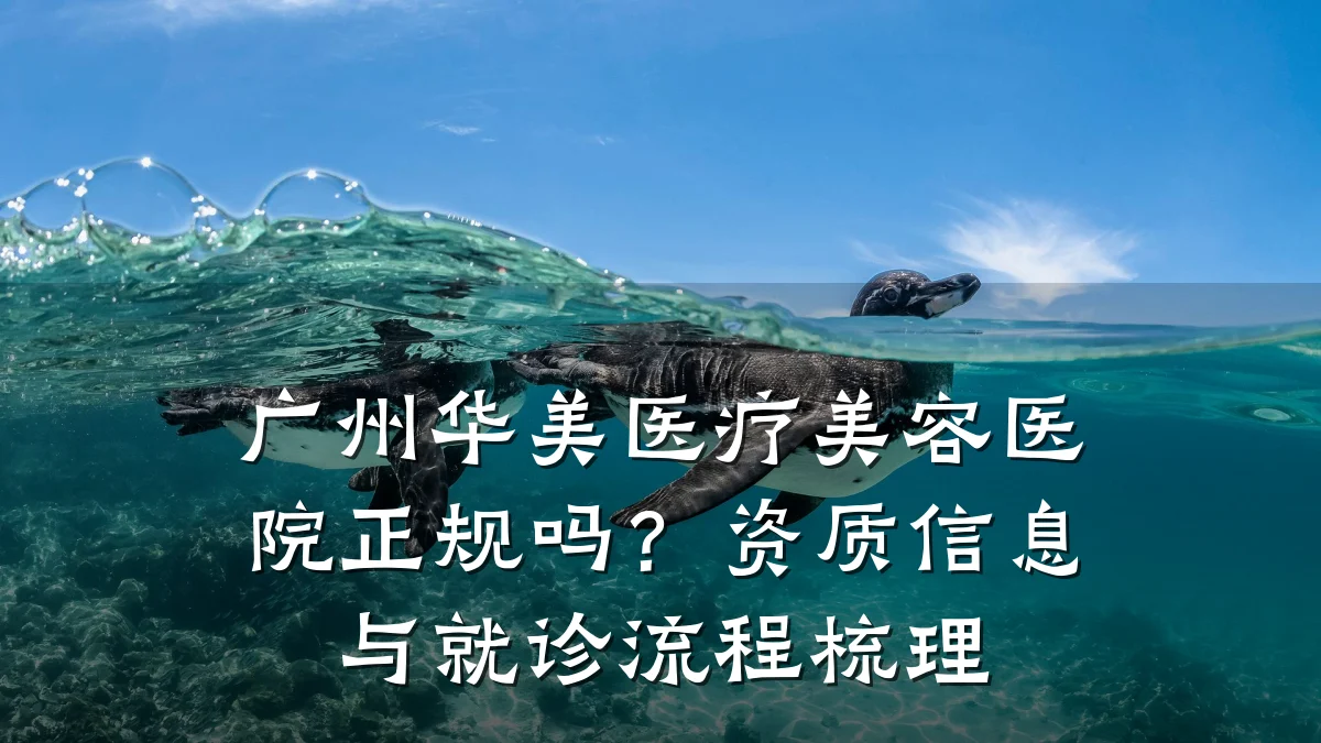 广州华美医疗美容医院正规吗？资质信息与就诊流程梳理
