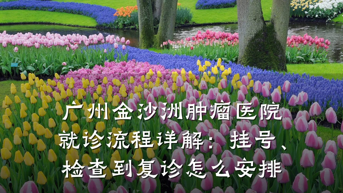 广州金沙洲肿瘤医院就诊流程详解：挂号、检查到复诊怎么安排
