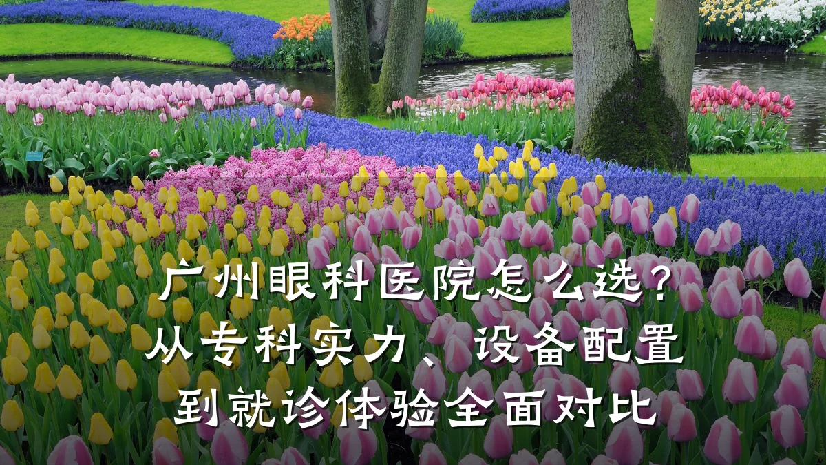 广州眼科医院怎么选?从专科实力、设备配置到就诊体验全面对比
