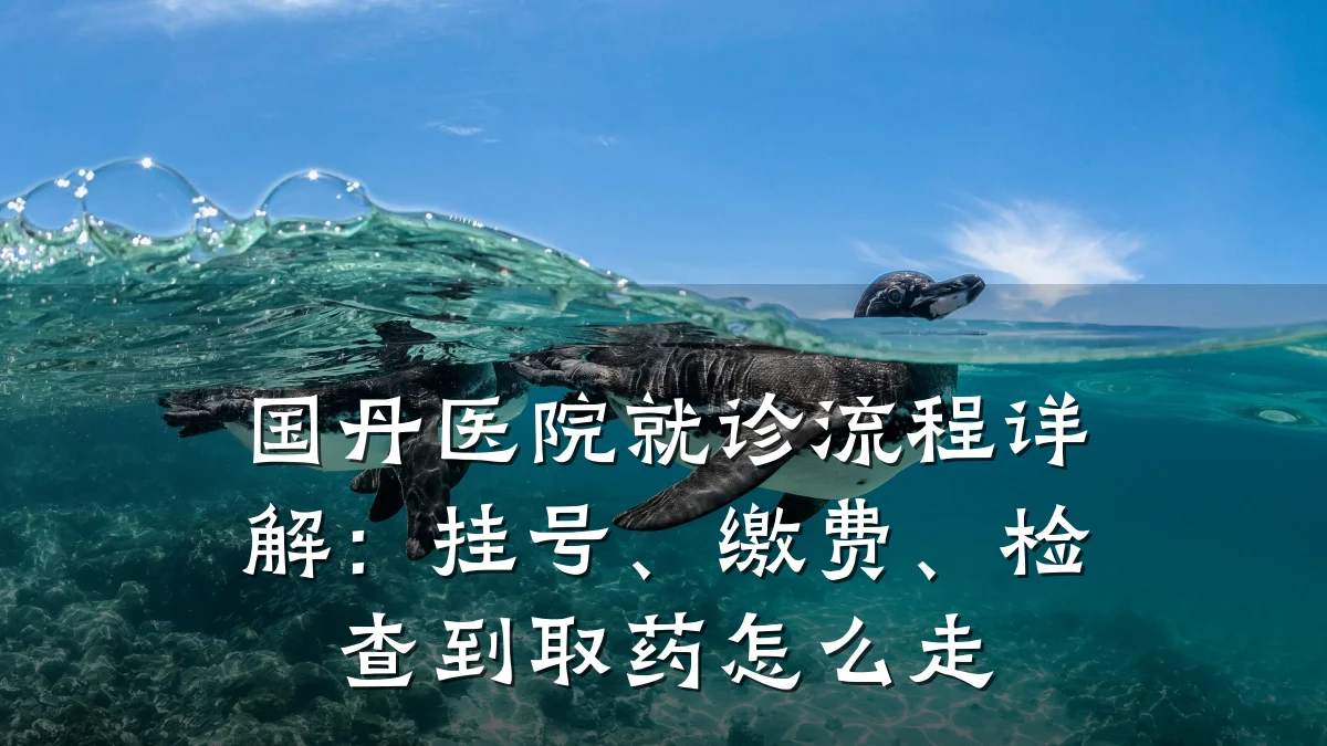 国丹医院就诊流程详解：挂号、缴费、检查到取药怎么走