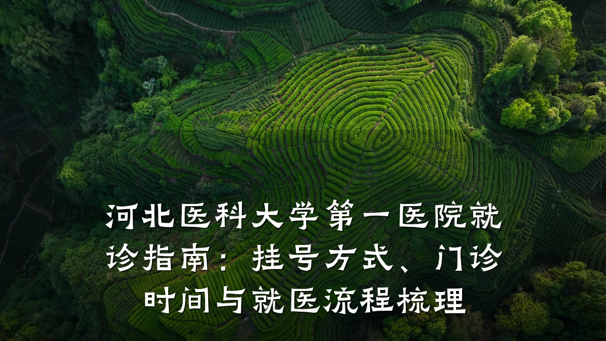 河北医科大学第一医院就诊指南:挂号方式、门诊时间与就医流程梳理