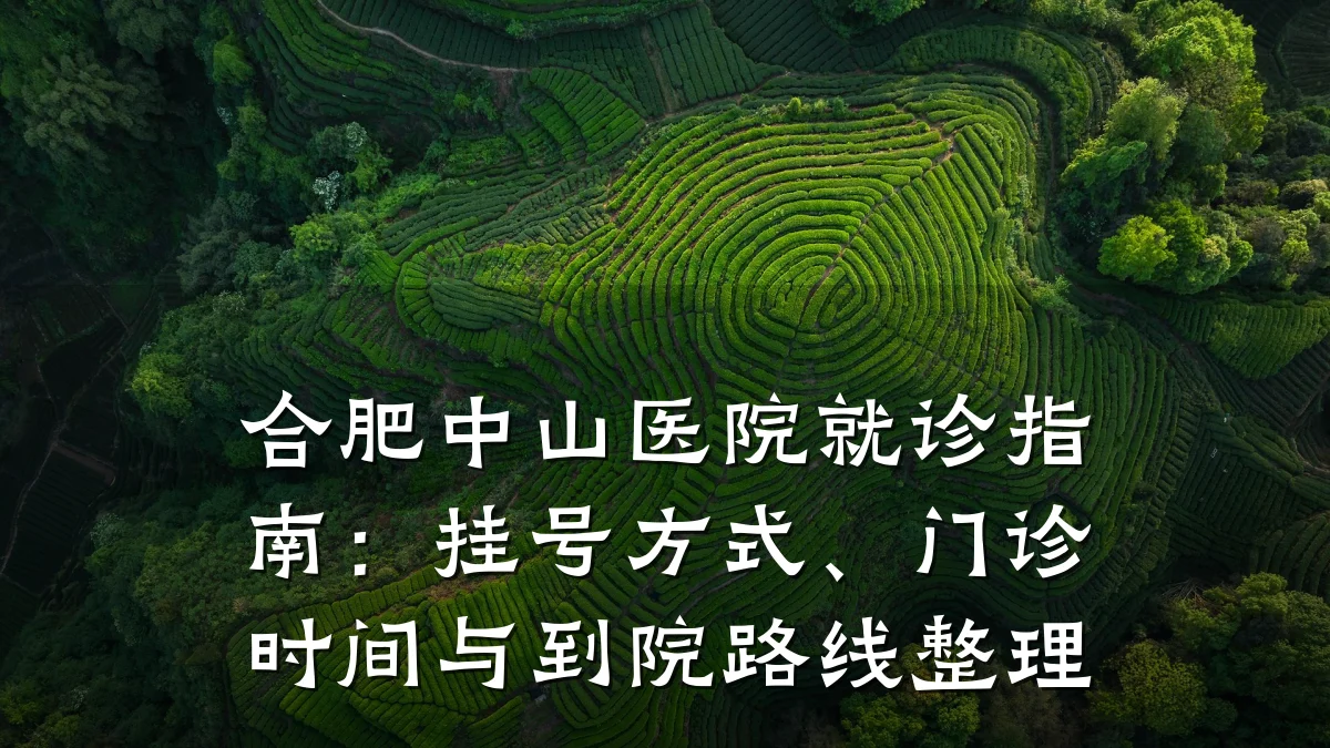 合肥中山医院就诊指南:挂号方式、门诊时间与到院路线整理