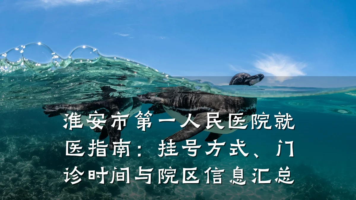 淮安市第一人民医院就医指南:挂号方式、门诊时间与院区信息汇总