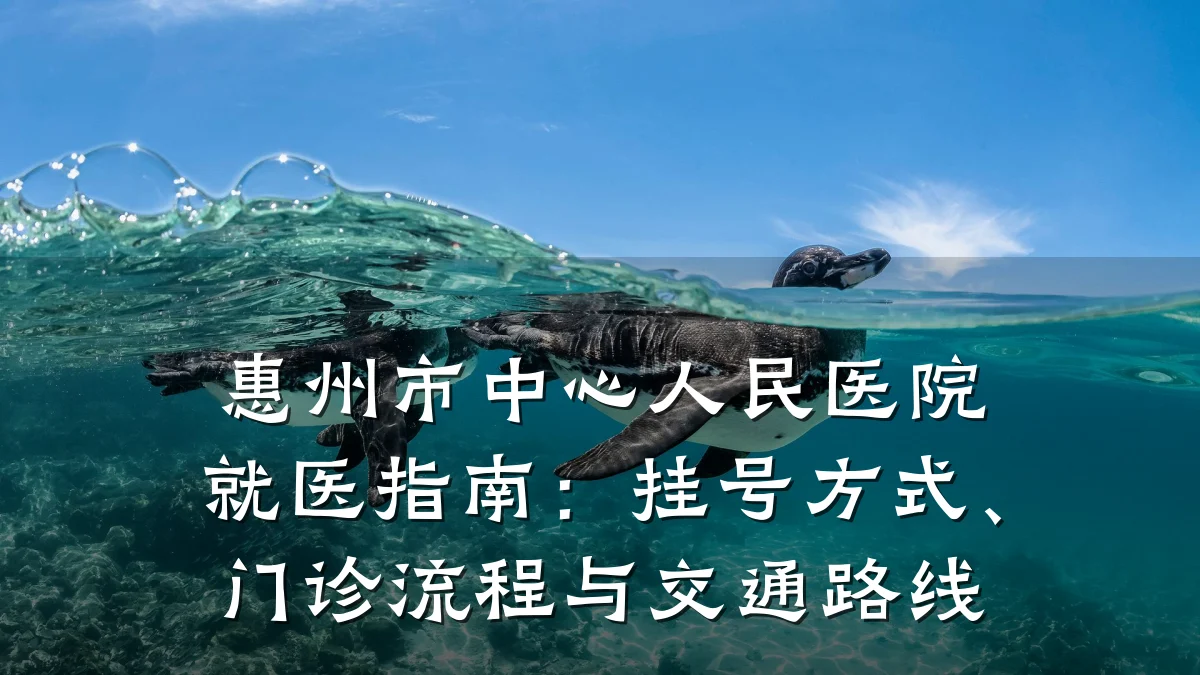 惠州市中心人民医院就医指南:挂号方式、门诊流程与交通路线