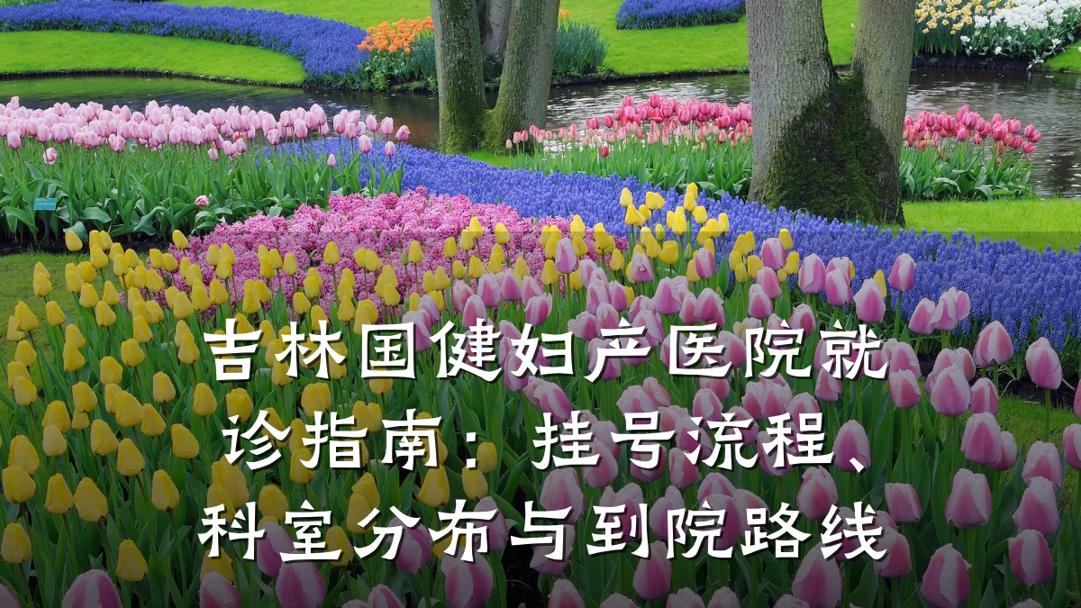 吉林国健妇产医院就诊指南:挂号流程、科室分布与到院路线