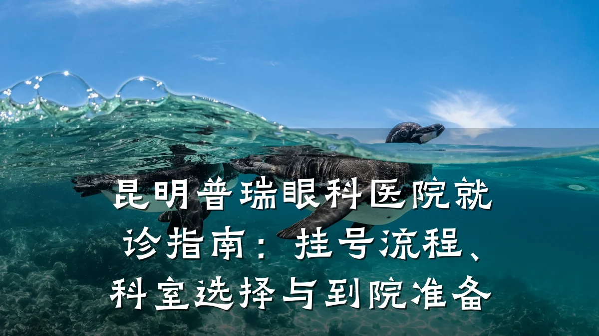 昆明普瑞眼科医院就诊指南:挂号流程、科室选择与到院准备