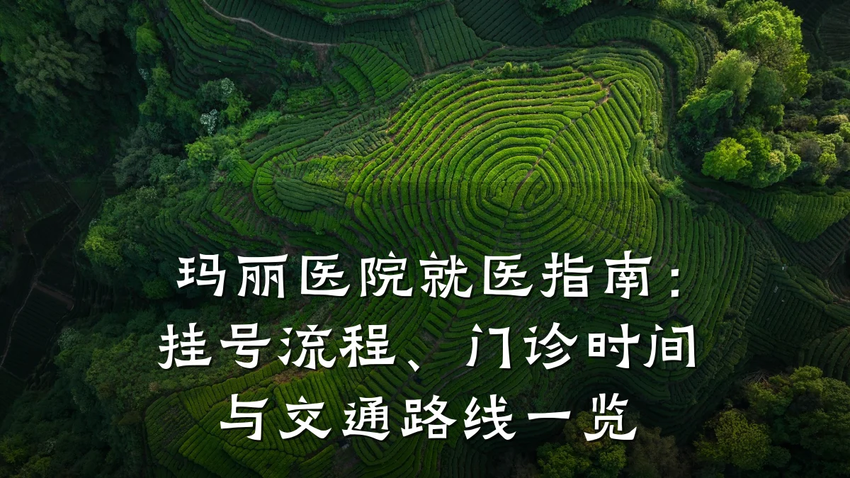 玛丽医院就医指南：挂号流程、门诊时间与交通路线一览