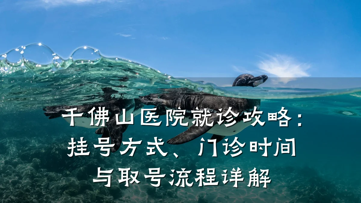 千佛山医院就诊攻略:挂号方式、门诊时间与取号流程详解