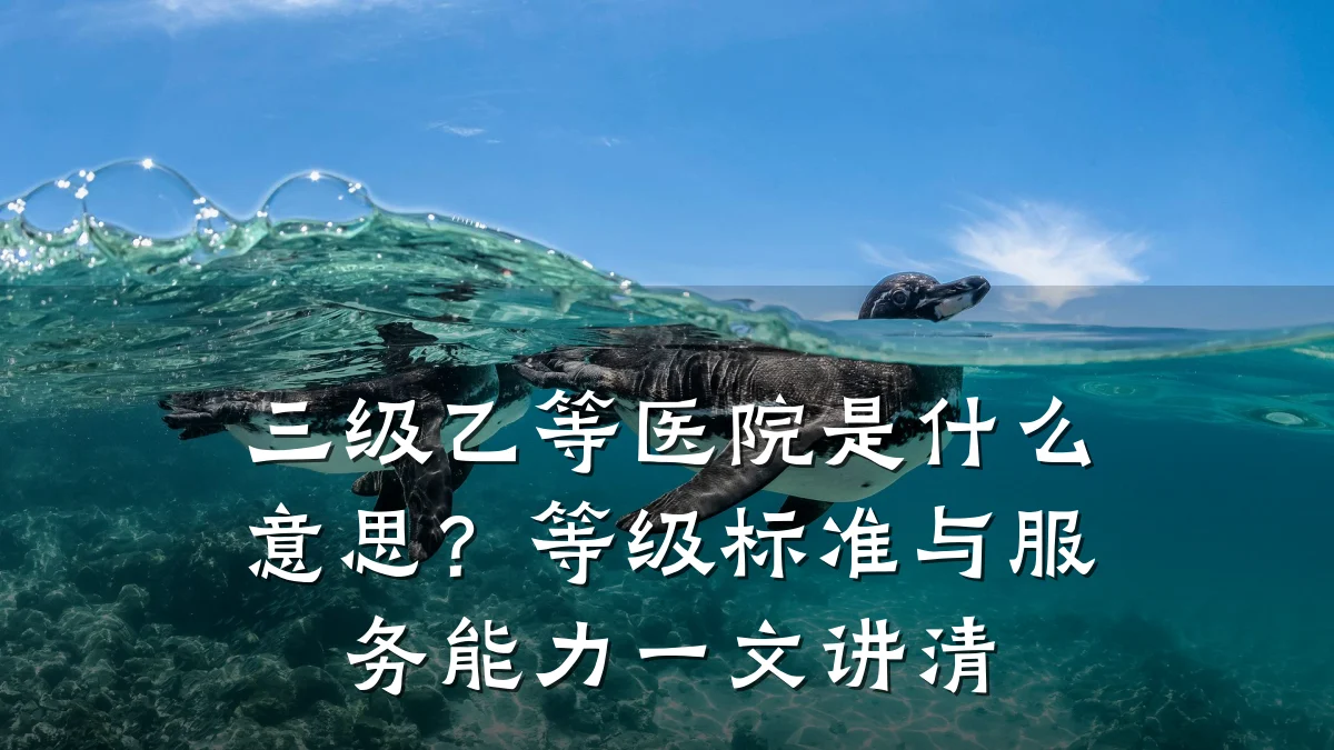 三级乙等医院是什么意思?等级标准与服务能力一文讲清