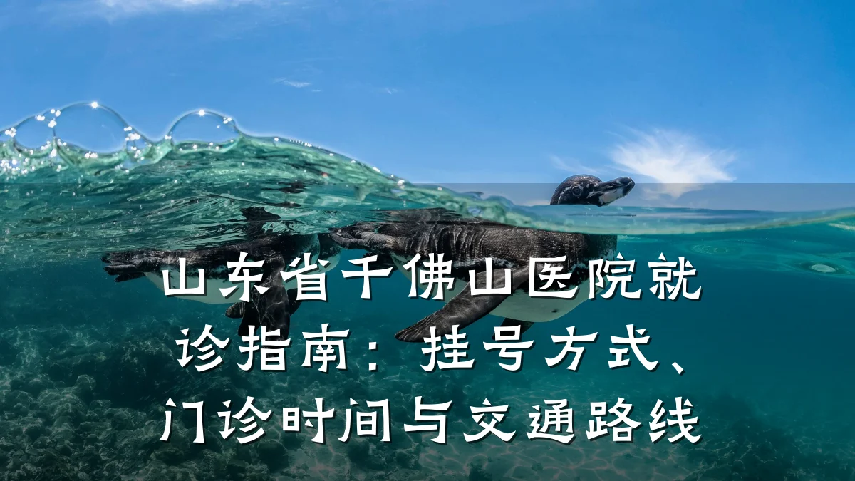 山东省千佛山医院就诊指南:挂号方式、门诊时间与交通路线