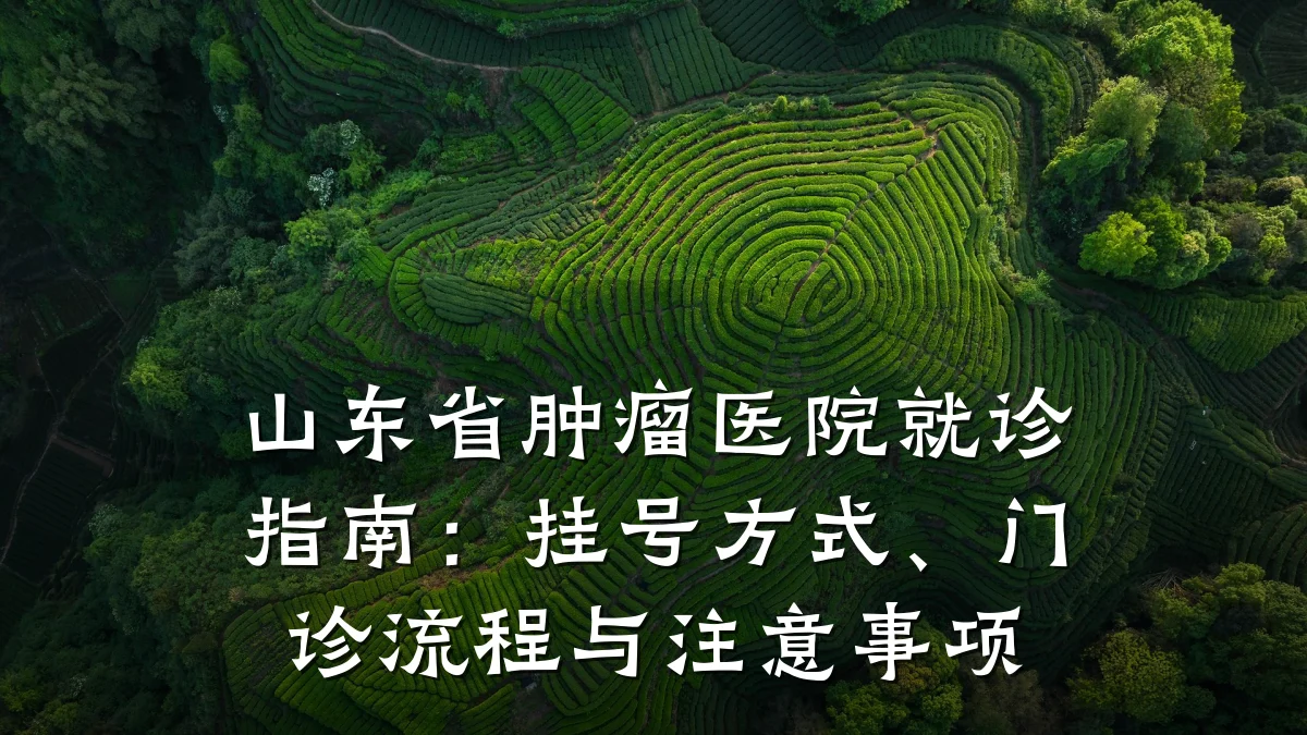 山东省肿瘤医院就诊指南:挂号方式、门诊流程与注意事项