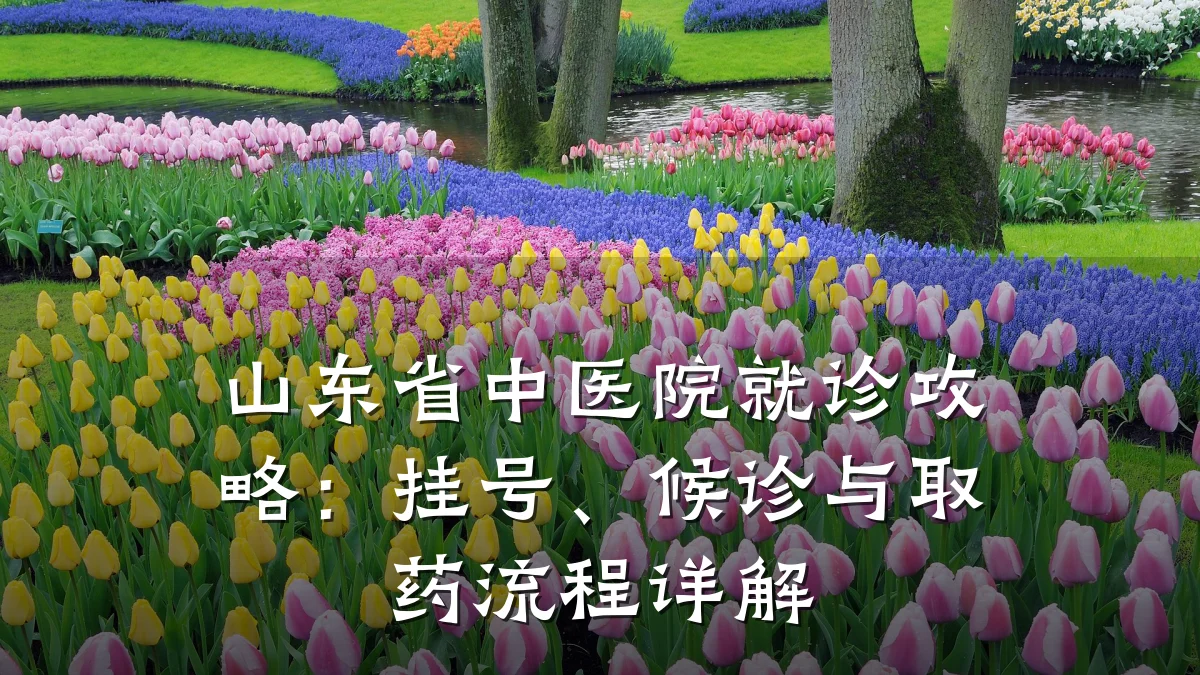 山东省中医院就诊攻略:挂号、候诊与取药流程详解