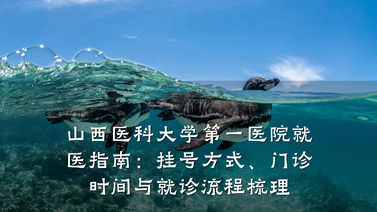 山西医科大学第一医院就医指南：挂号方式、门诊时间与就诊流程梳理
