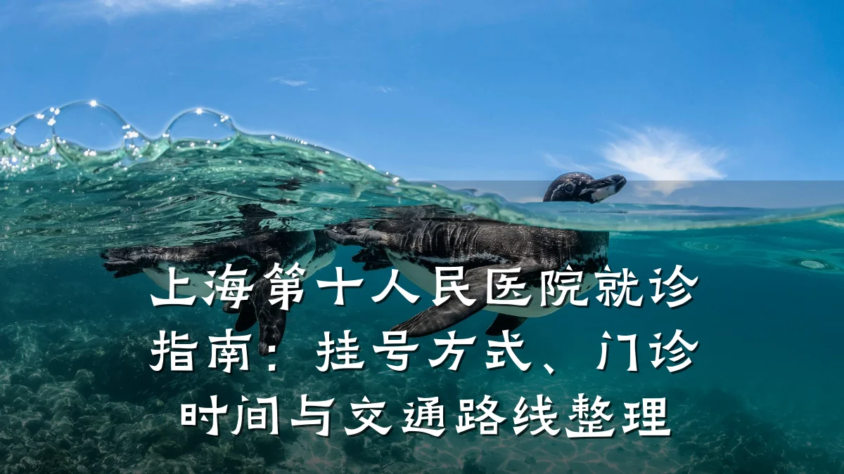 上海第十人民医院就诊指南:挂号方式、门诊时间与交通路线整理