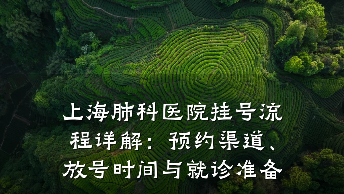 上海肺科医院挂号流程详解:预约渠道、放号时间与就诊准备