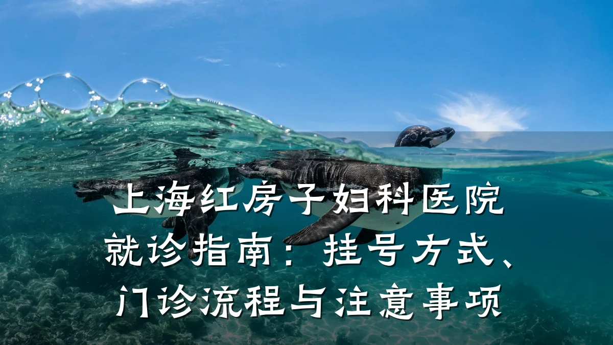 上海红房子妇科医院就诊指南:挂号方式、门诊流程与注意事项