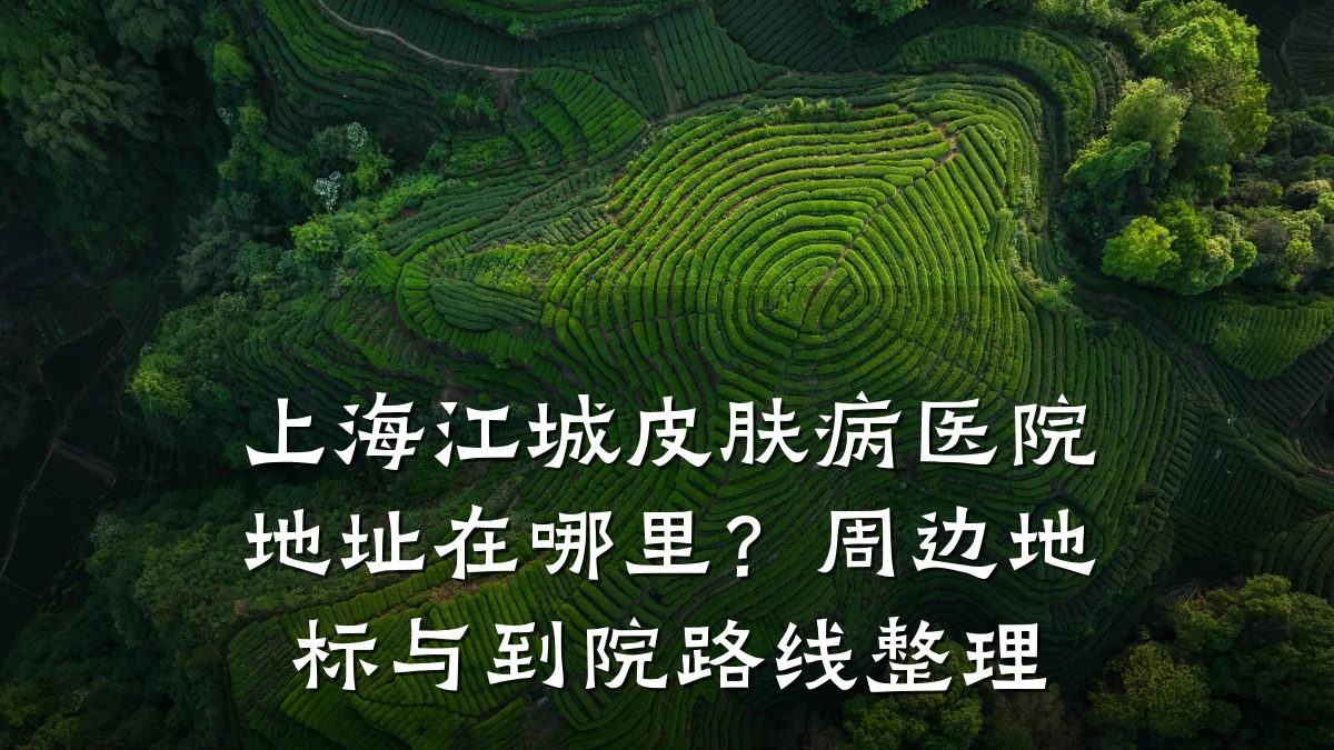 上海江城皮肤病医院地址在哪里？周边地标与到院路线整理