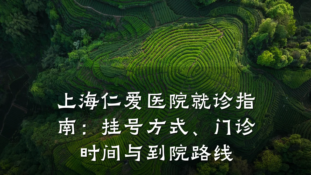 上海仁爱医院就诊指南：挂号方式、门诊时间与到院路线