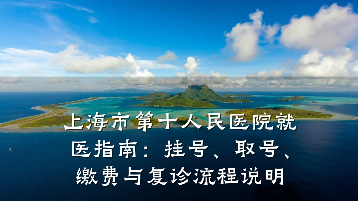上海市第十人民医院就医指南：挂号、取号、缴费与复诊流程说明