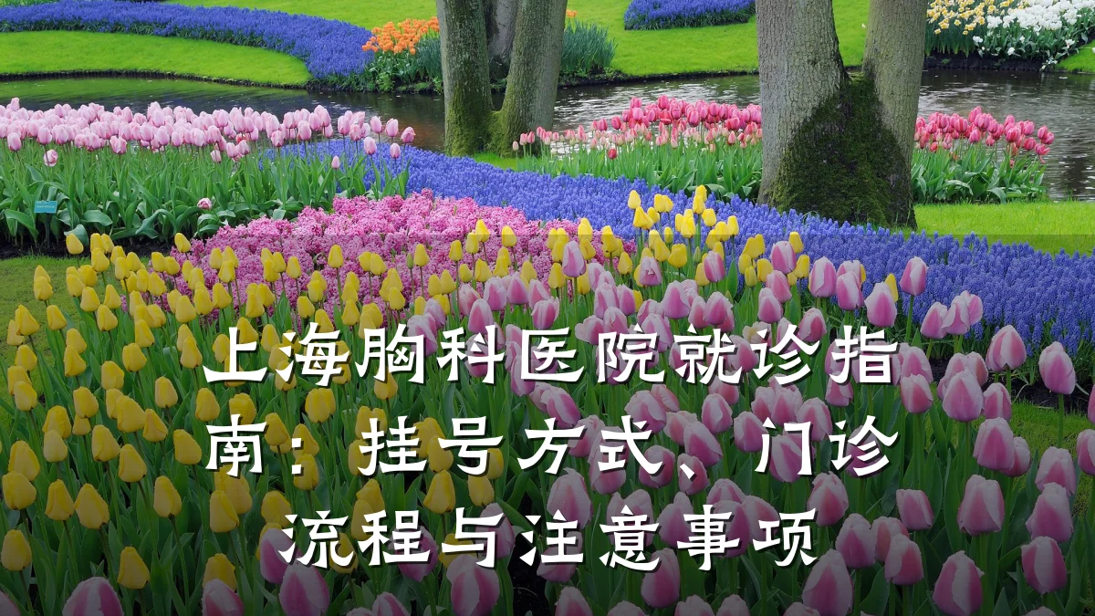 上海胸科医院就诊指南:挂号方式、门诊流程与注意事项