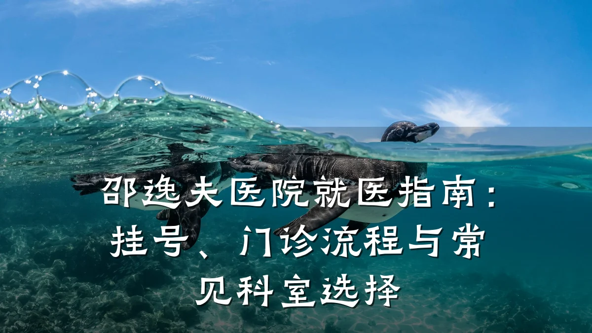 邵逸夫医院就医指南：挂号、门诊流程与常见科室选择