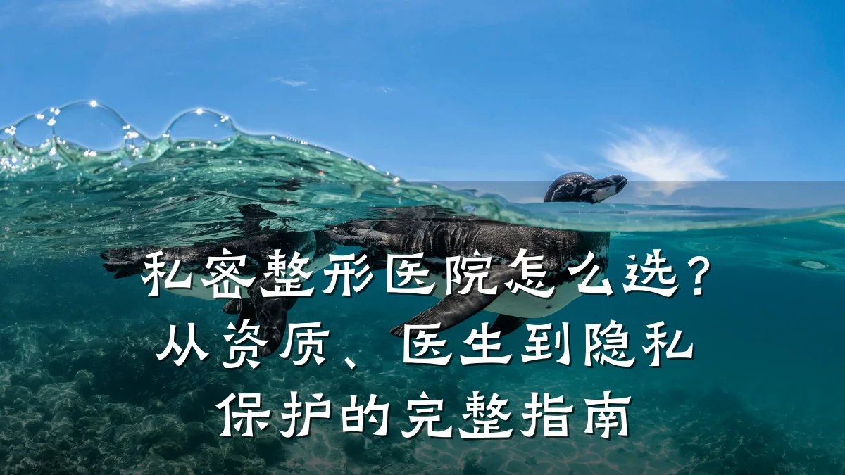 私密整形医院怎么选？从资质、医生到隐私保护的完整指南