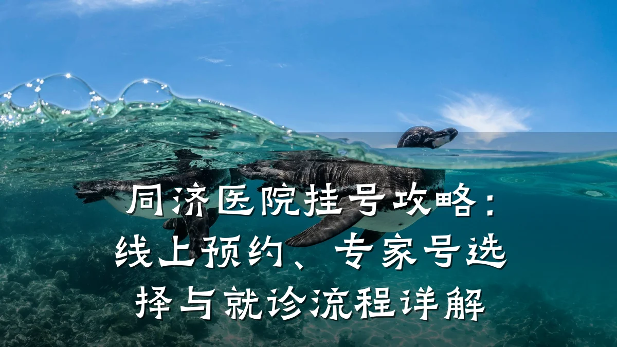 同济医院挂号攻略：线上预约、专家号选择与就诊流程详解
