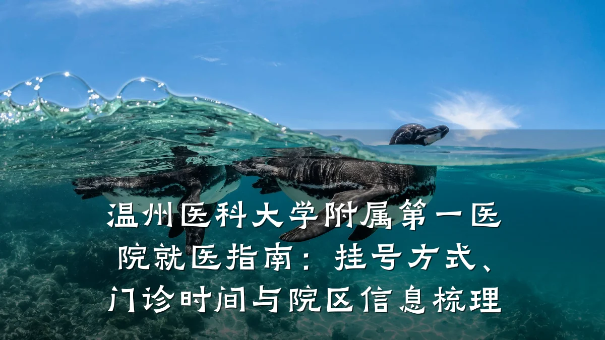 温州医科大学附属第一医院就医指南:挂号方式、门诊时间与院区信息梳理