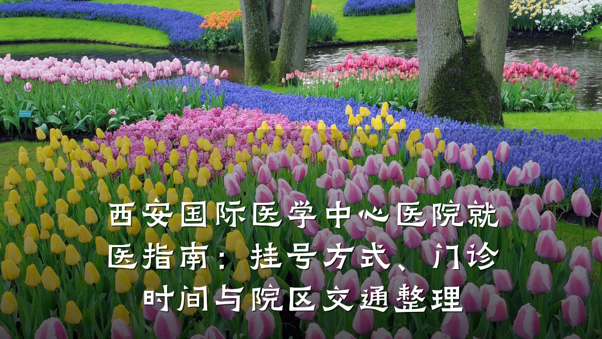 西安国际医学中心医院就医指南:挂号方式、门诊时间与院区交通整理